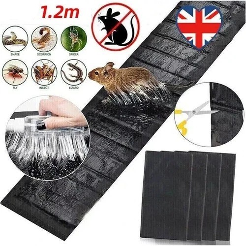 12x large size mice - mice, mouse