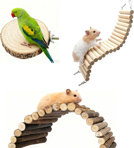 Stück meerschweinchen - 3,