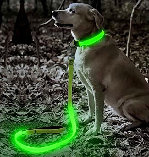 Hundeleine hund zubehör - hund,