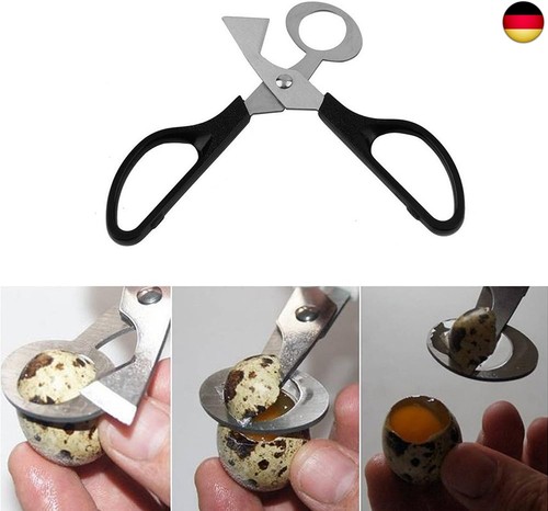 Stück wachteleierschere - 2,
